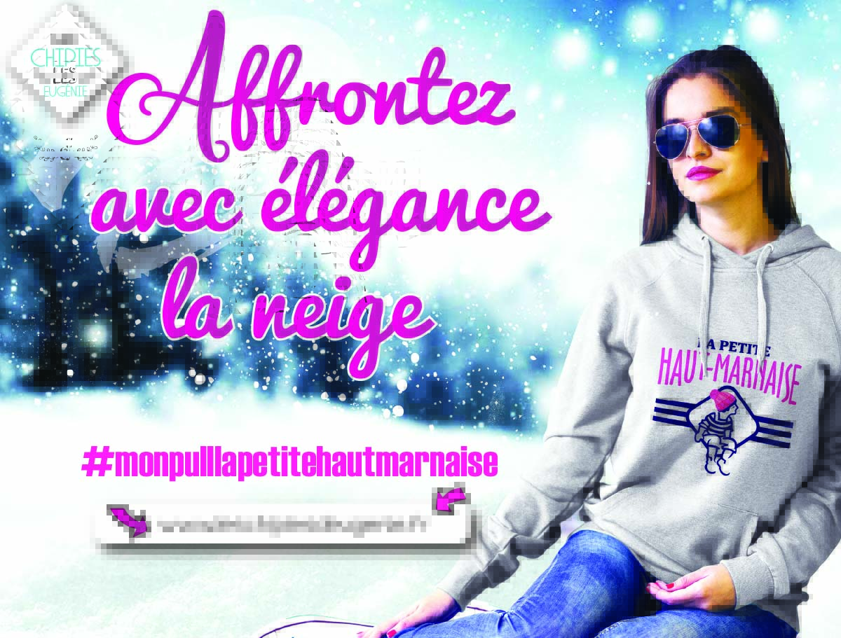 LA NEIGE ET MON PULL