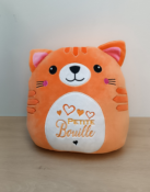 PELUCHE CHAT PERSONNALISABLE