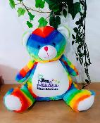 PELUCHE OURS HAUT-MARNAIS 