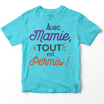 TEE SHIRT ENFANT " AVEC MAMIE TOUT EST PERMIS"